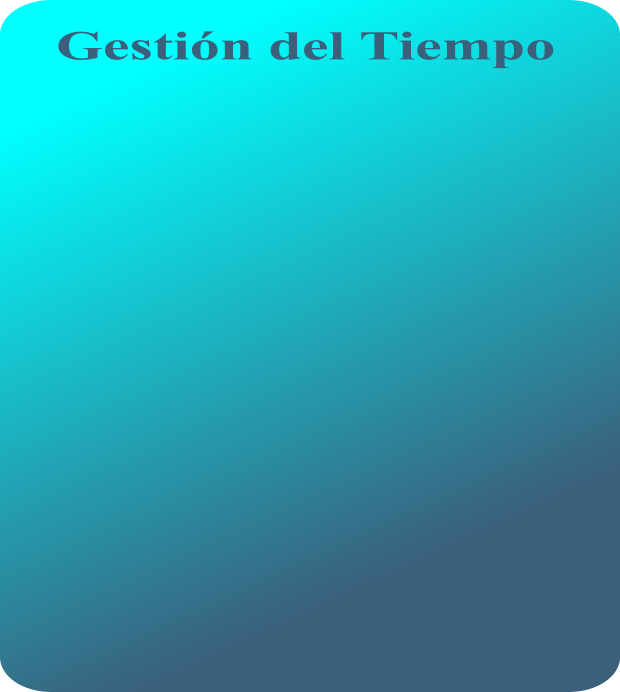 Gestin del Tiempo